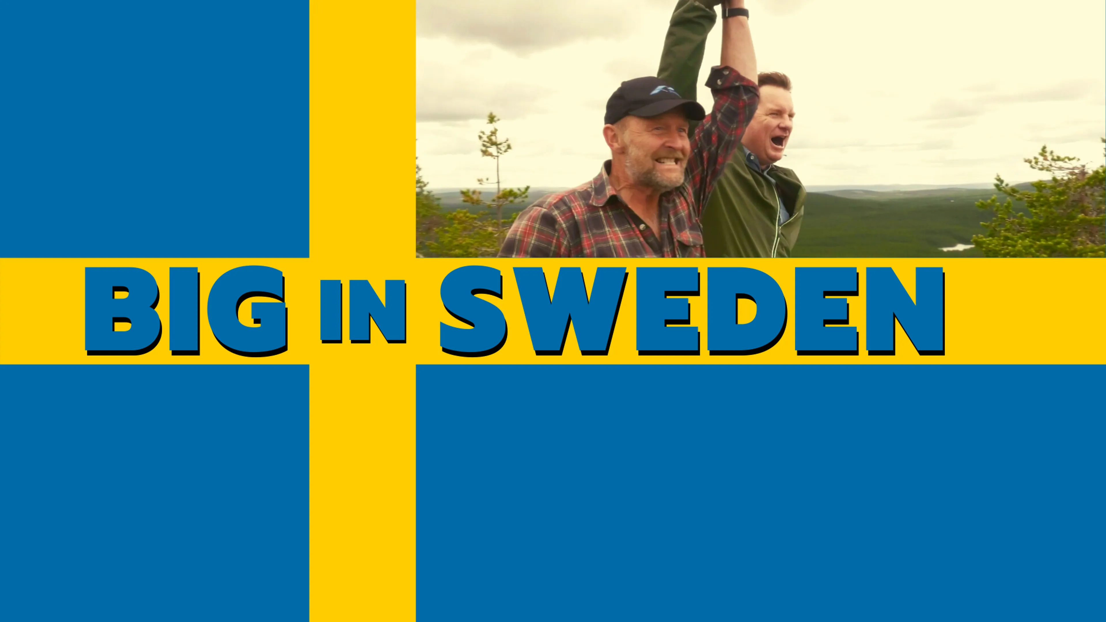 Big in Sweden poster